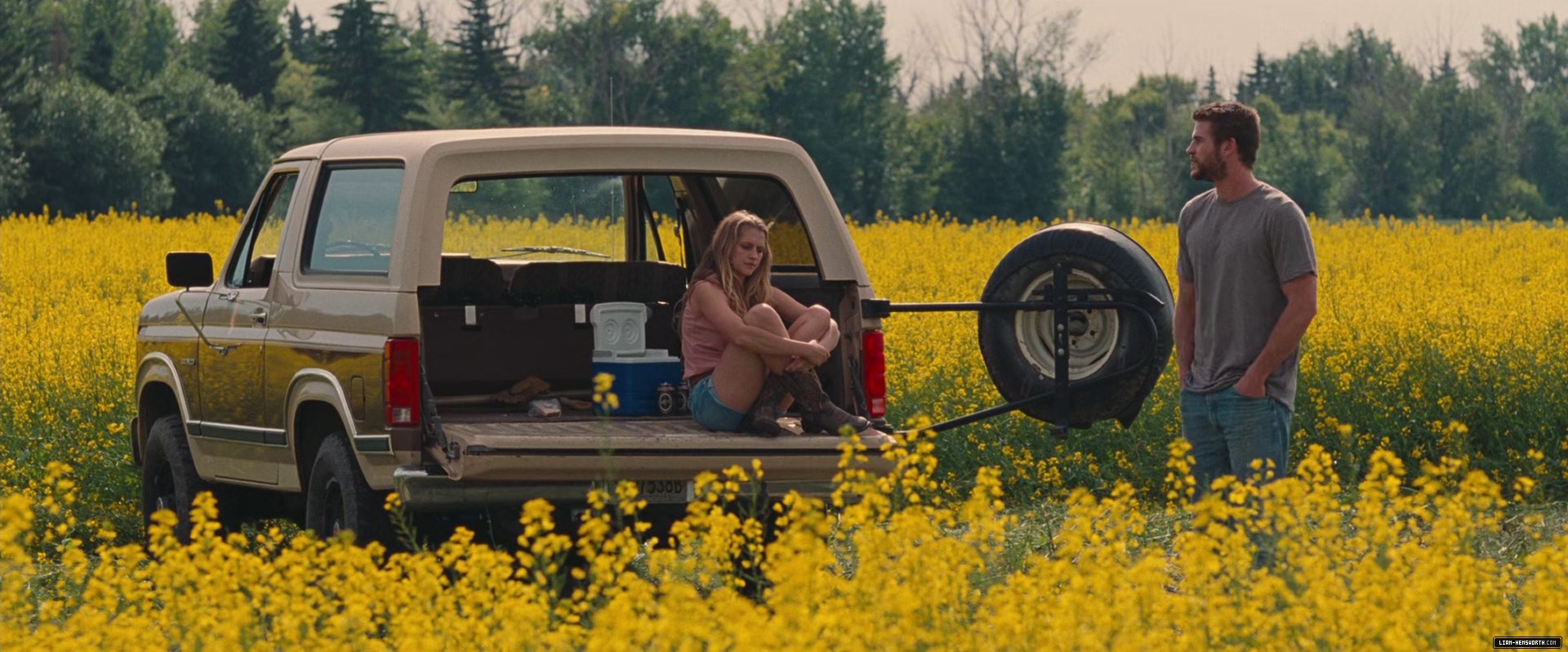 033.jpg