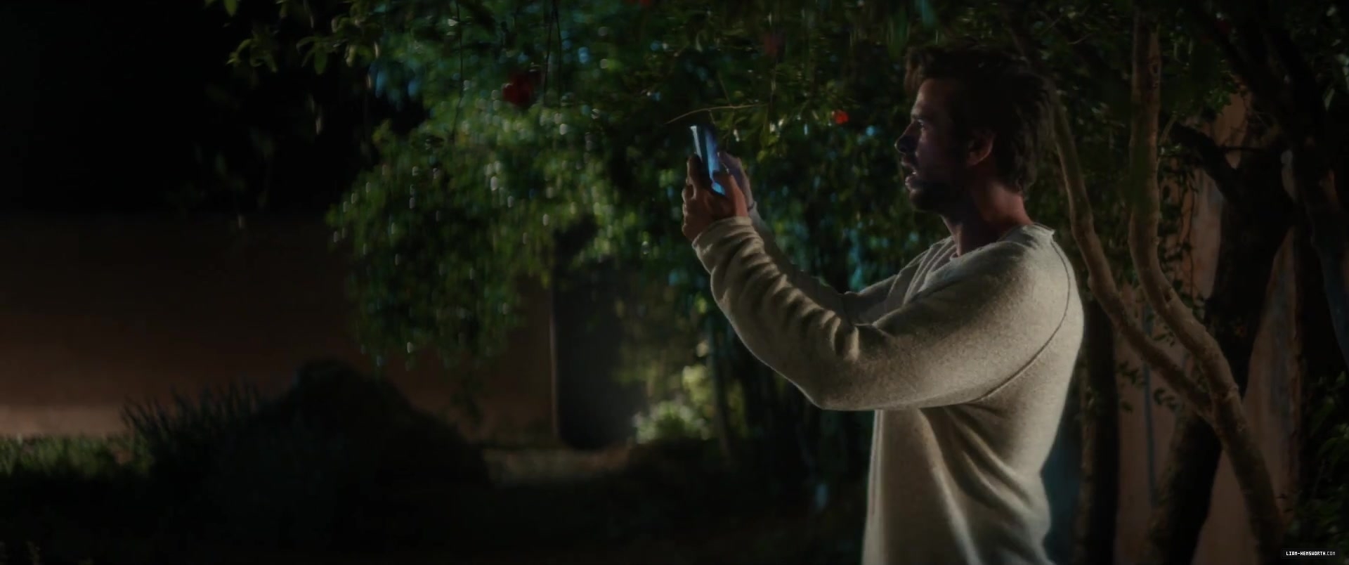 0197.jpg