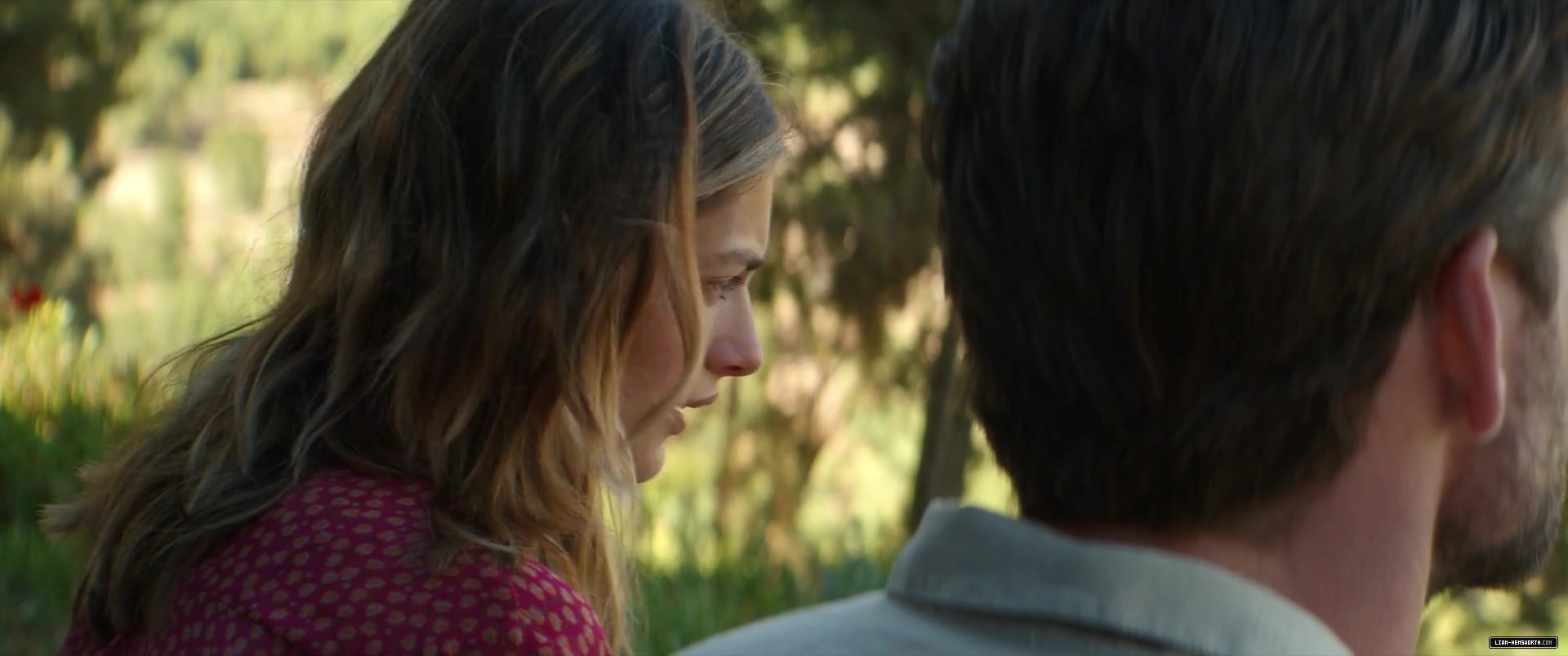 2337.jpg