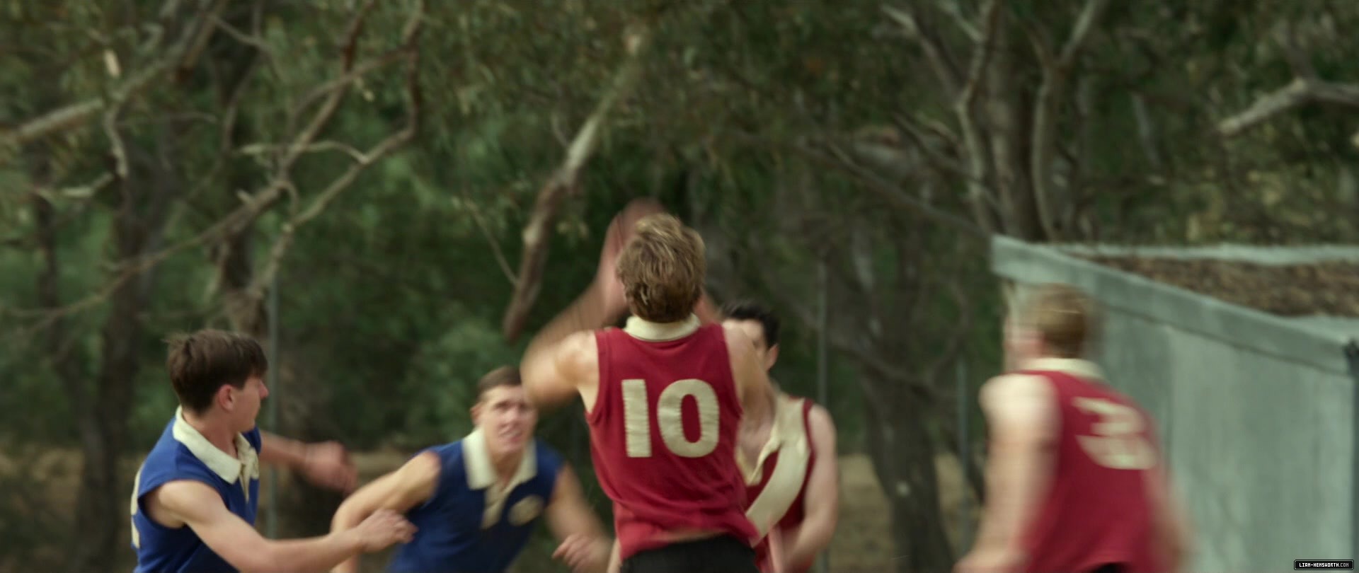 321.jpg