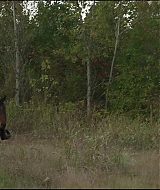 Filename=775.jpg
Filesize=789KiB
Dimensions=1920x808
Date added=Sep 14, 2022 775.jpg