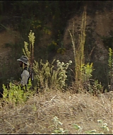 Filename=l0169.jpg
Filesize=750KiB
Dimensions=1920x808
Date added=Sep 14, 2022 l0169.jpg