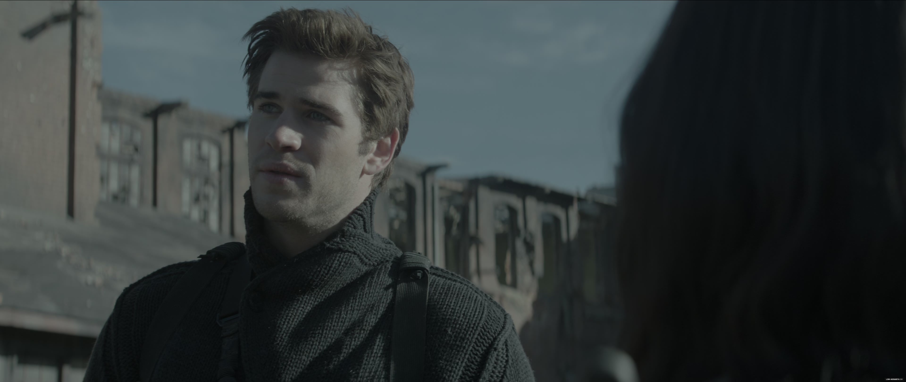 l1344.jpg