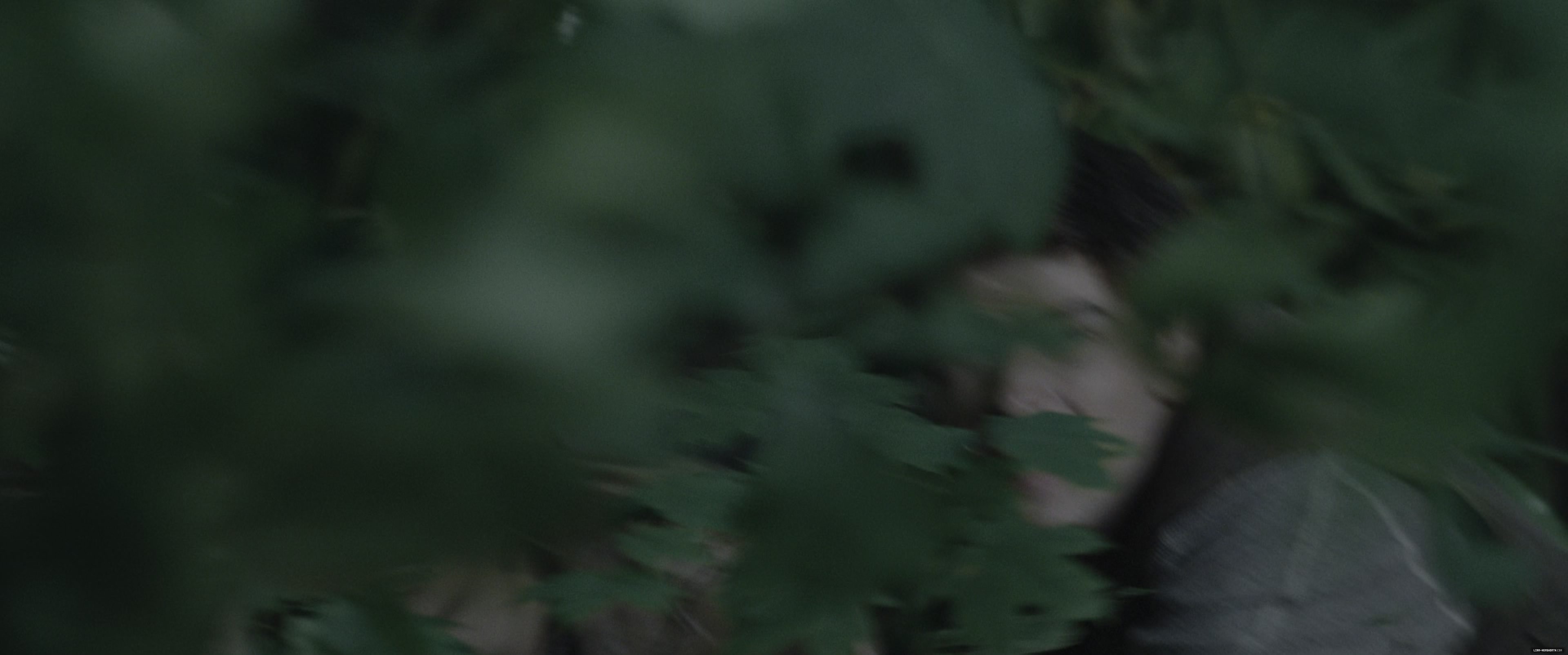 l062.jpg