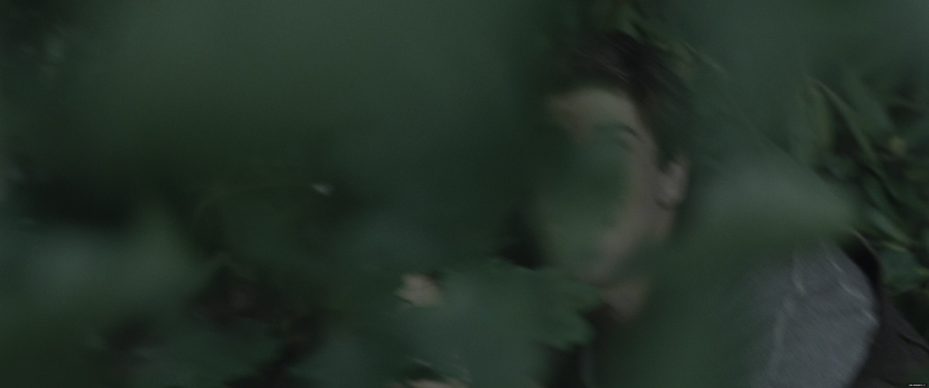 l066.jpg