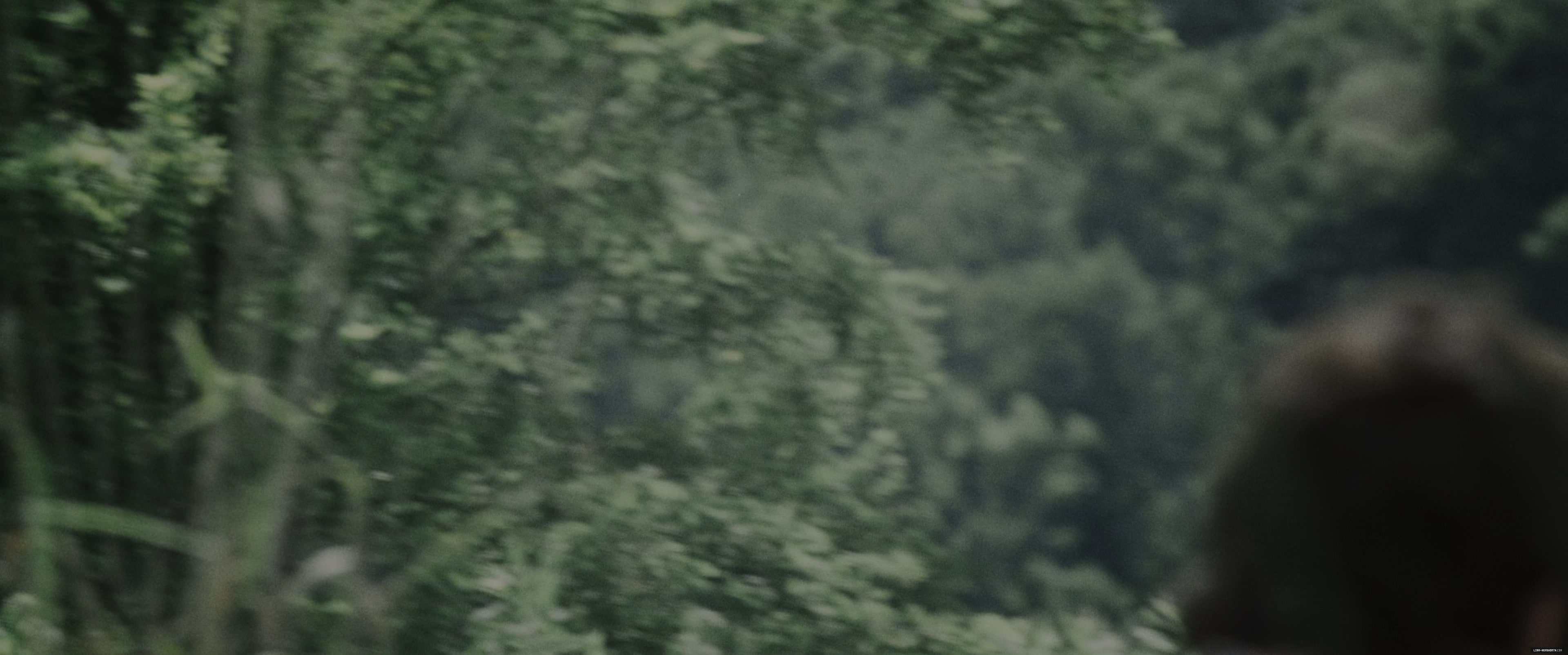 l093.jpg