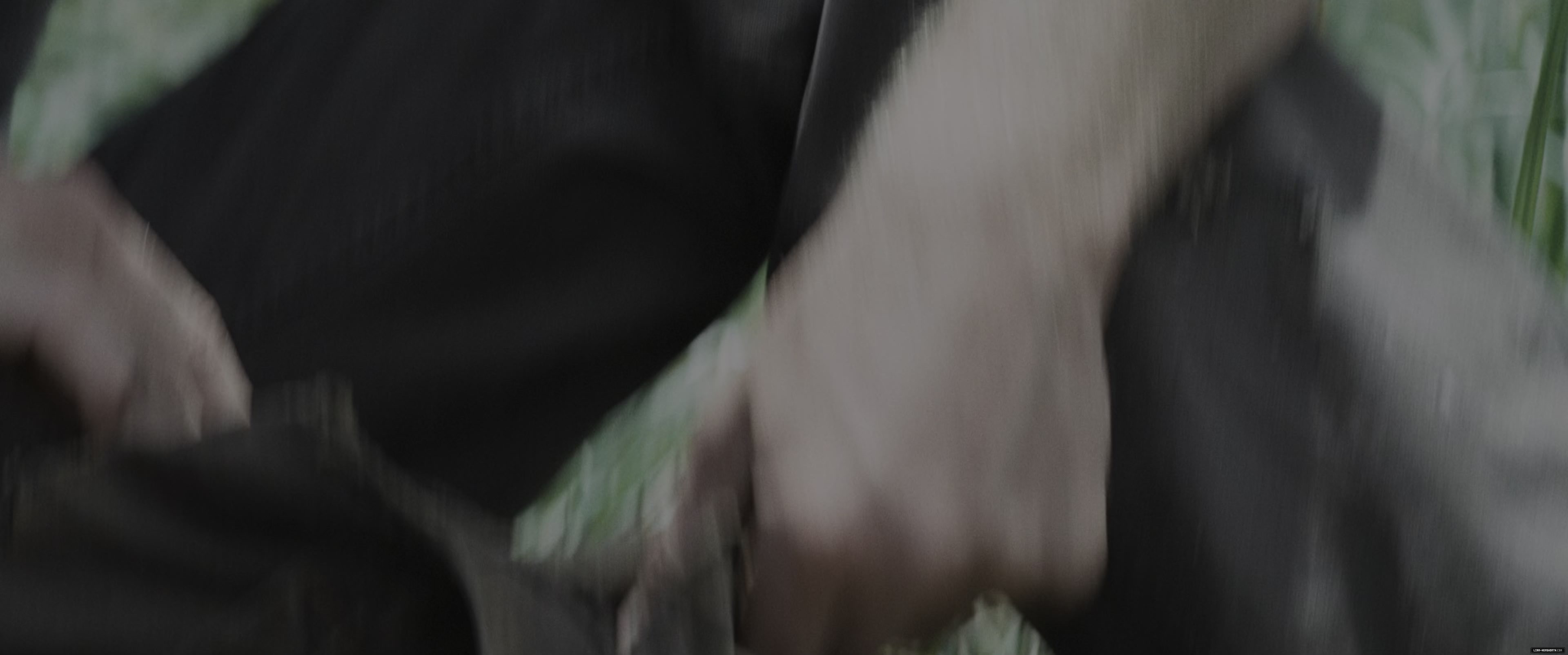 l341.jpg