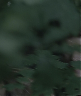 l062.jpg