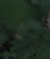 l065.jpg