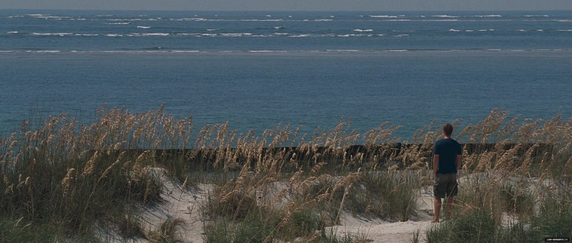 l564.jpg