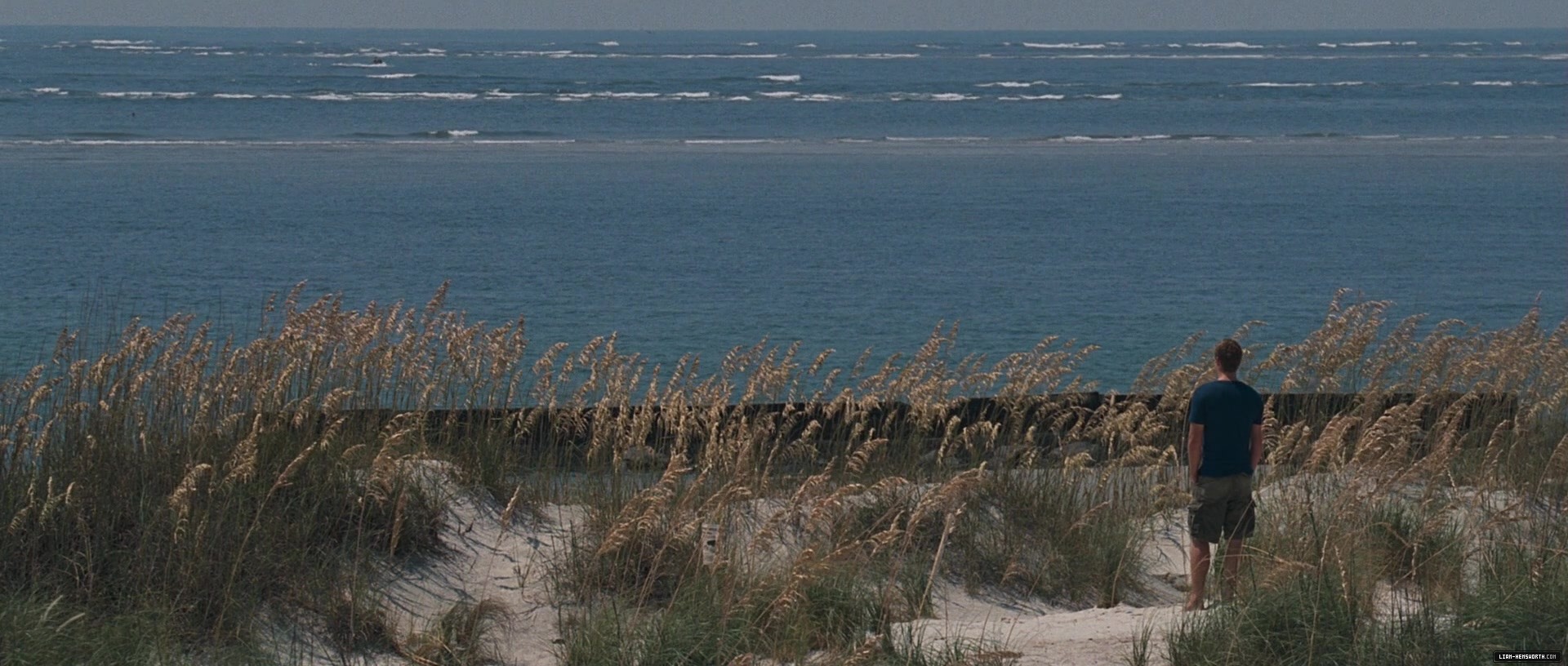 l565.jpg