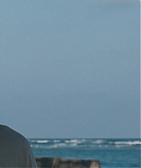 l513.jpg