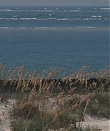l564.jpg