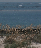 l565.jpg