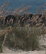 l566.jpg