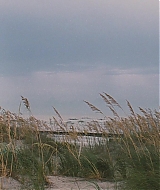 l617.jpg