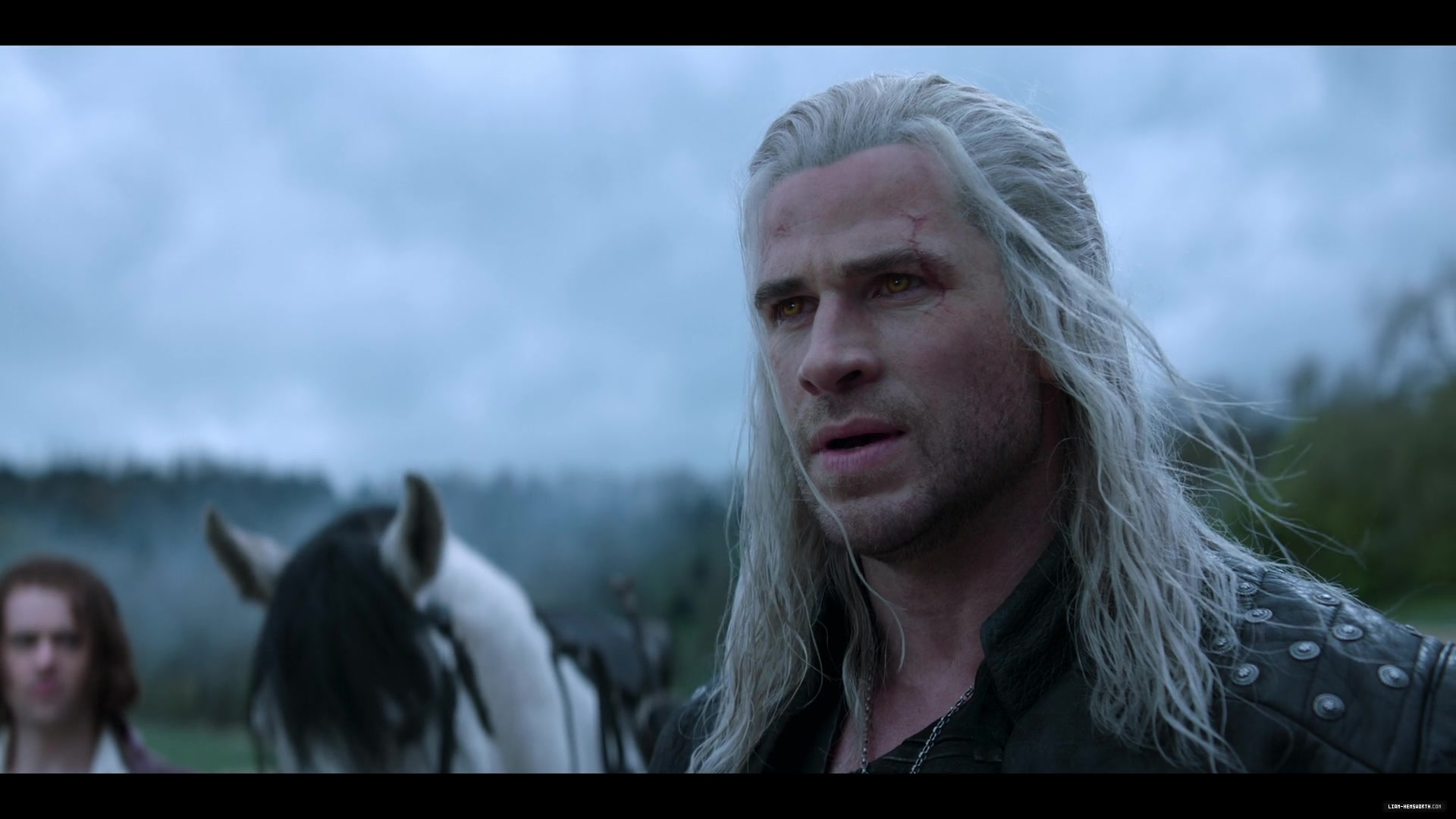 537.jpg