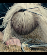139.jpg