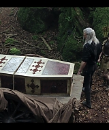 236.jpg