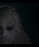 343.jpg