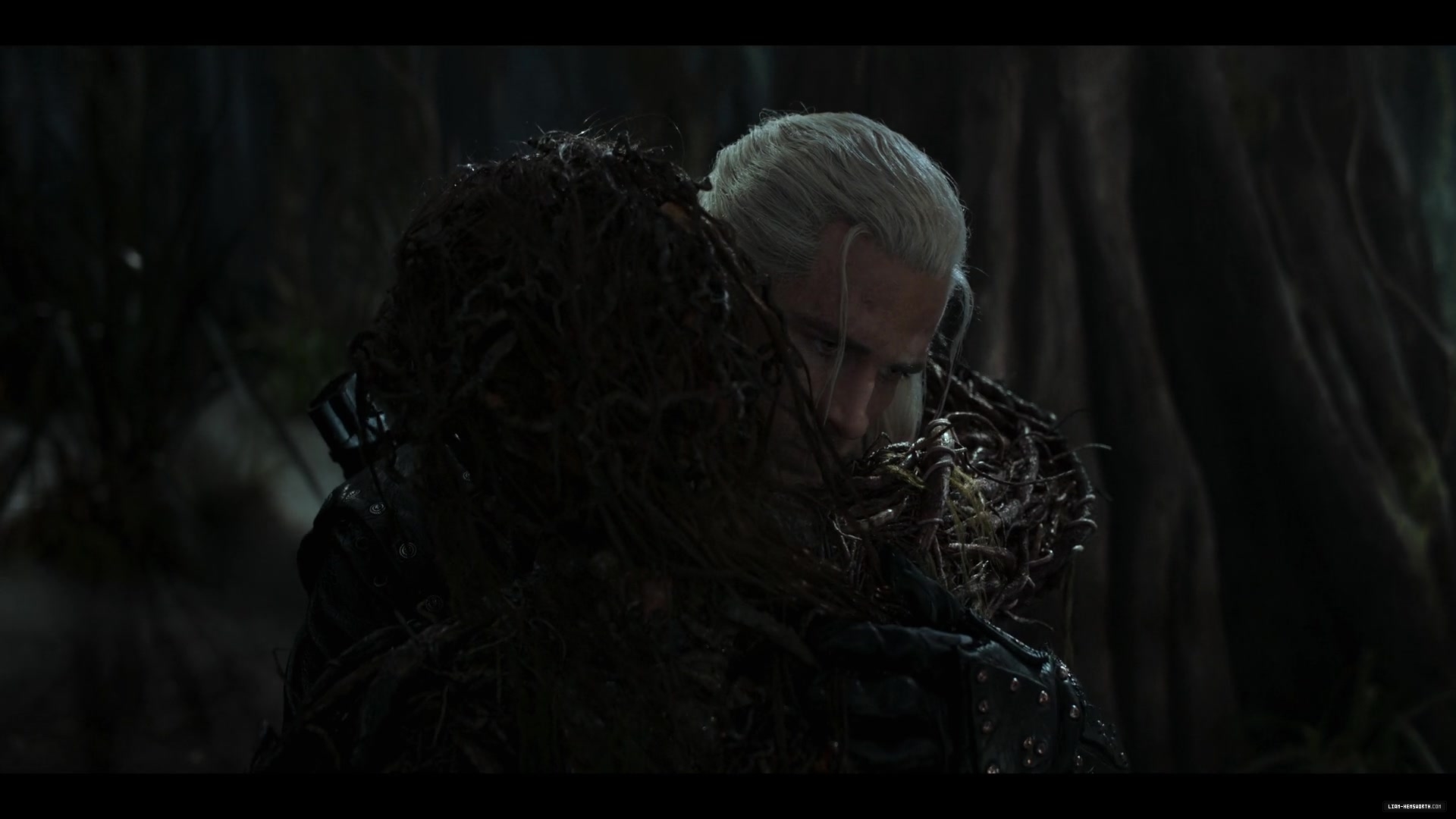 244.jpg